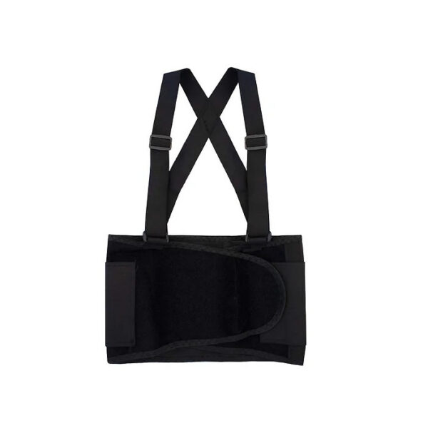 Back Support Belt